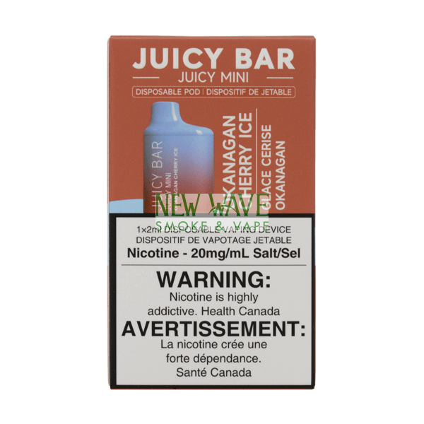 JUICY BAR MINI 2500 PUFF