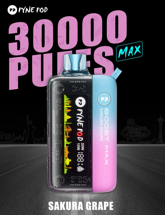 PYNE POD BOOST MAX 30000
